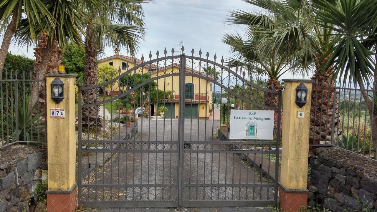 Bed and Breakfast La Casa Del Melograno Санта-Венерина Экстерьер фото